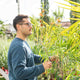 Simegarden Leonotis leonurus 24 cm