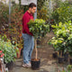 Simegarden Limone pianta 26 cm