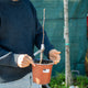 Simegarden Magnolia satisfaction 17 cm