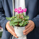 Simegarden Mini ciclamino Fuchsia / 12 cm