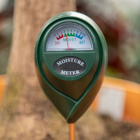 Tester Per Misuratore Di Umidà Del Suolo Del Vaso Di Fiori Nessuna - Foto 7