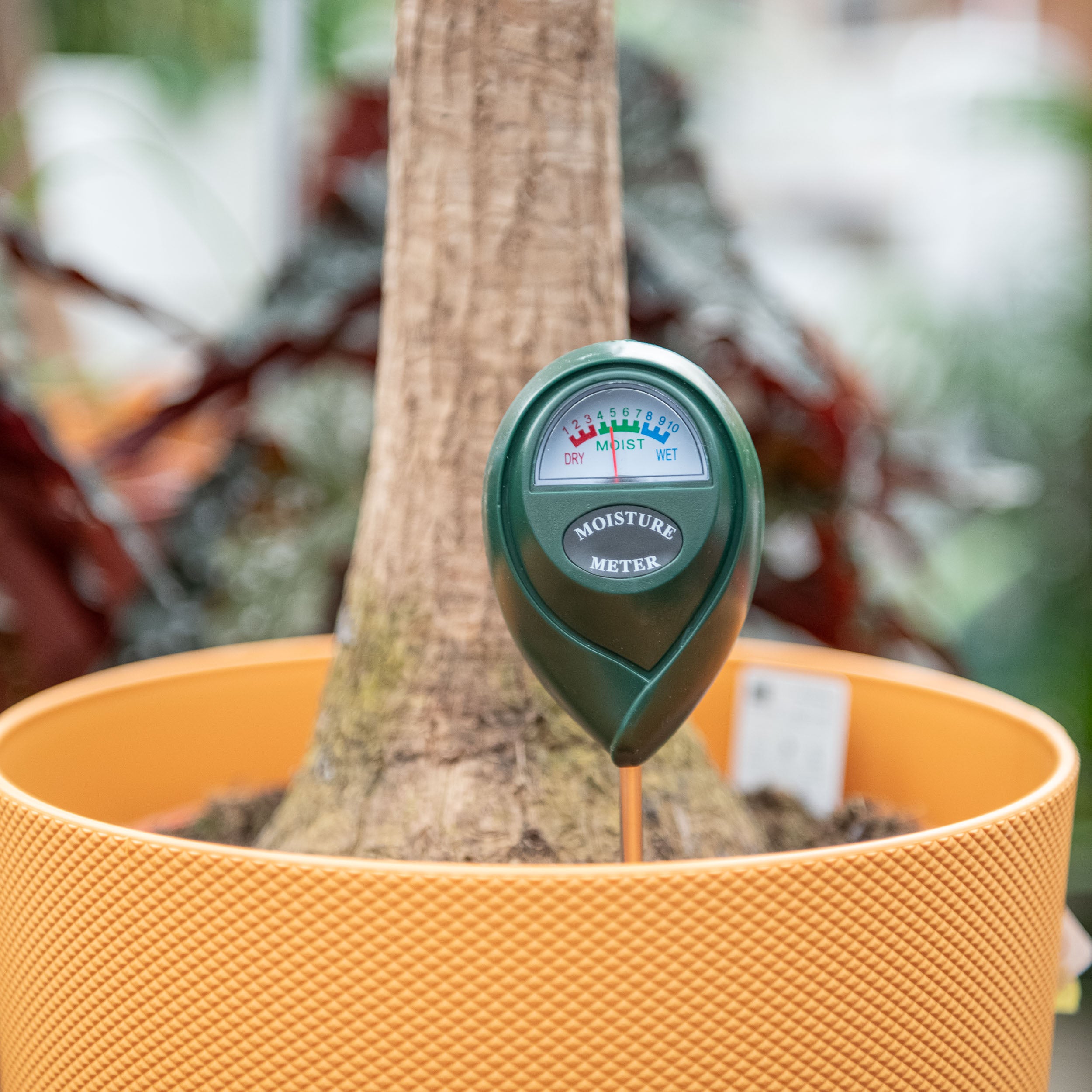 Misuratori Di Umidità E Igrometri - Foto 2