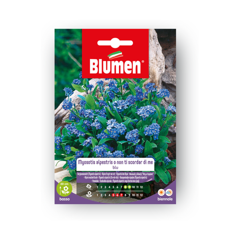 Simegarden MYOSOTIS ALPESTRIS BLU