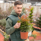 Simegarden Nandina domestica “Obsessed” 18 cm