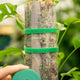 Simegarden Nastro per legare piante 3 m