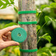 Simegarden Nastro per legare piante 3 m