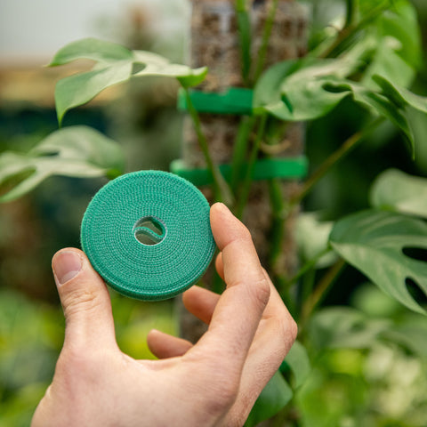 Legatrice Per Piante Per Legare Pomodori, Peperoni E Cetrioli In Modo - Foto 8