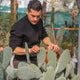 Simegarden Opuntia ficus indica