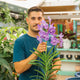 Simegarden Orchidea Vanda