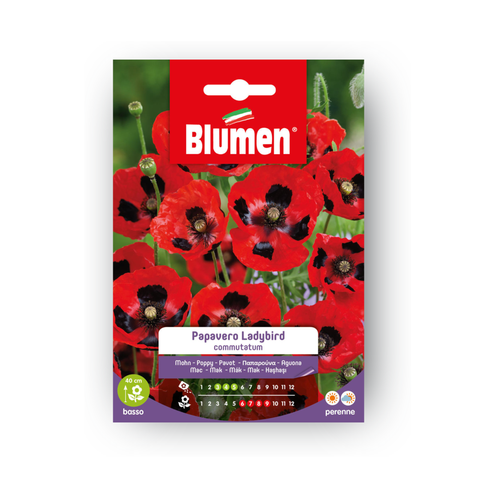 Simegarden PAPAVERO LADYBIRD