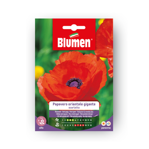 Simegarden PAPAVERO ORIENT GIG.SCARL