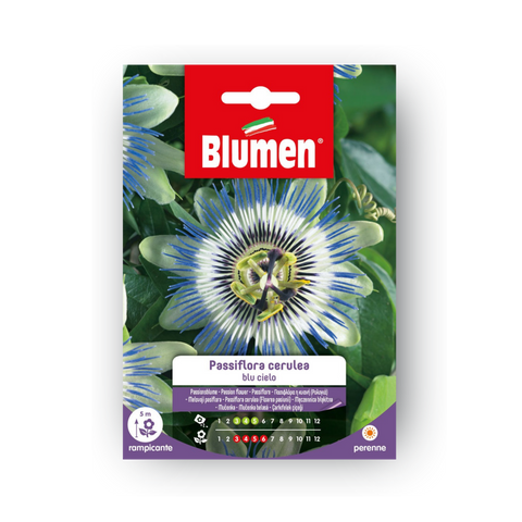 Simegarden Passiflora Cerulea Semi