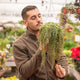 Simegarden Peperomia prostrata grande 14 cm