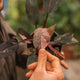 Simegarden Philodendron pink princess