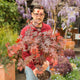 Simegarden Pianta Acero rosso giapponese 20 cm