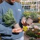 Simegarden Piante conifere