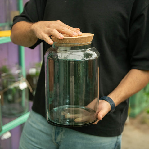 Simegarden Piante in vaso chiuso Terrario da comporre / M