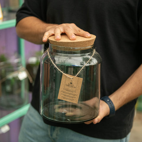 Simegarden Piante in vaso chiuso Terrario da comporre / S