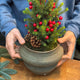 Simegarden piccolo albero di natale 20 cm
