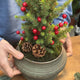 Simegarden piccolo albero di natale 20 cm