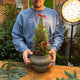 Simegarden piccolo albero di natale 20 cm