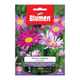 Simegarden Piretro robinson's multicolor