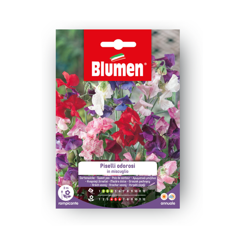 Simegarden PISELLI ODOROSI