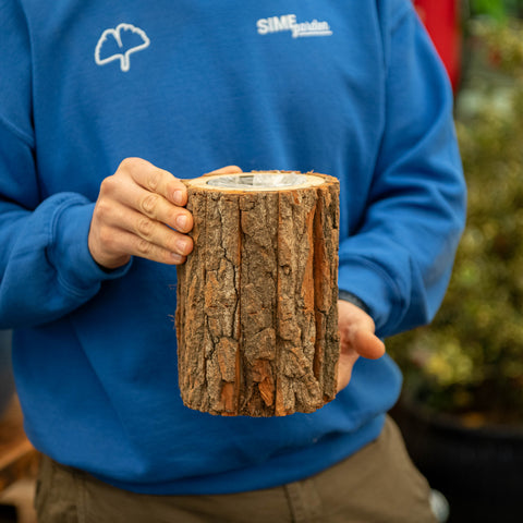 Simegarden Portavaso in legno 8.7 cm