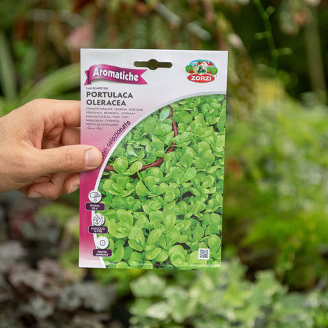 Simegarden Portulaca oleracea semi