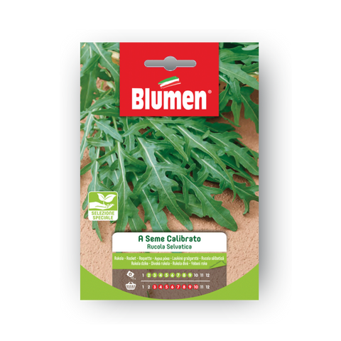 Simegarden Rucola Selvatica Seme Calibrato