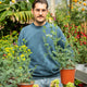 Simegarden Ruta comune 17 cm