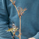 Simegarden Sambucus nigra black lace 18 cm