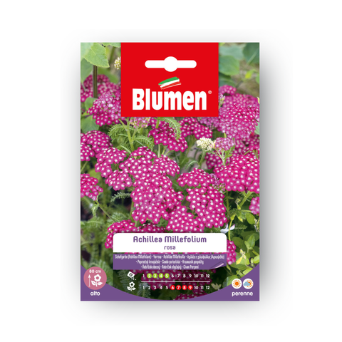 Simegarden Semi Achillea Millefolium Rosa