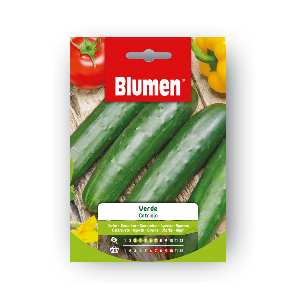 50 Semi Di Cetriolo Lungo Verde &ndash; Selezione Ortolani, Semi Hortus, Orto Facile
