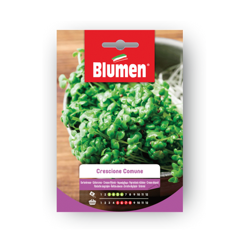 Simegarden Semi crescione
