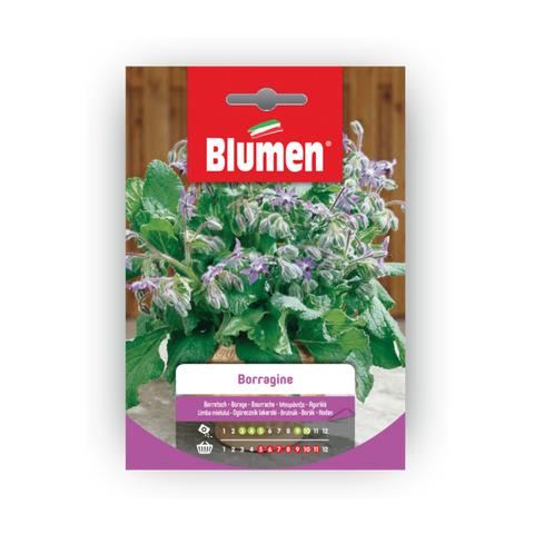 Simegarden Semi di borragine