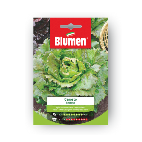 Simegarden Semi di canasta lattuga