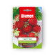 Simegarden Semi di fragola