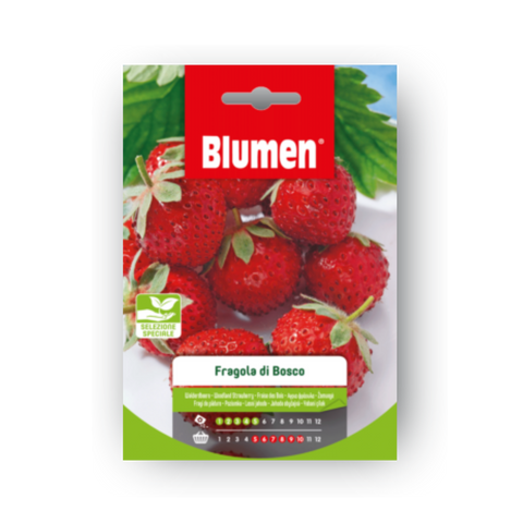 Simegarden Semi di fragola