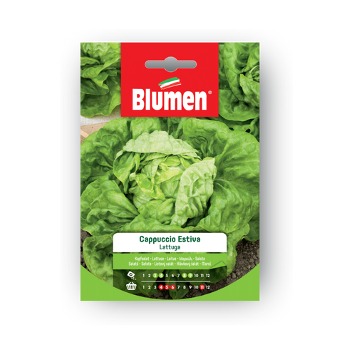 Simegarden Semi di Lattuga a cappuccio