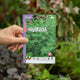 Simegarden Semi di liquirizia