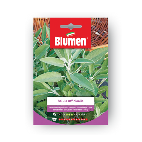 Simegarden Semi di salvia