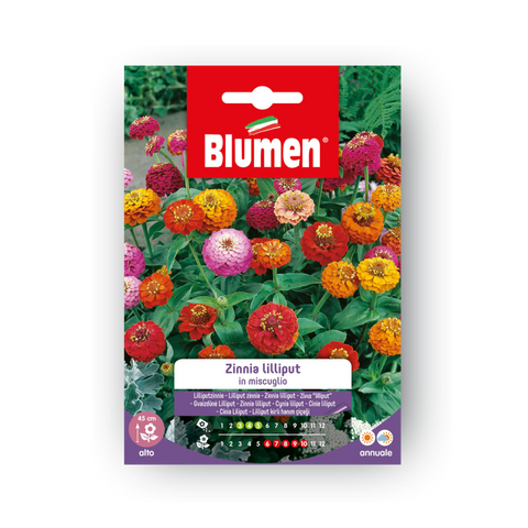 Simegarden Semi di Zinnia lilliput