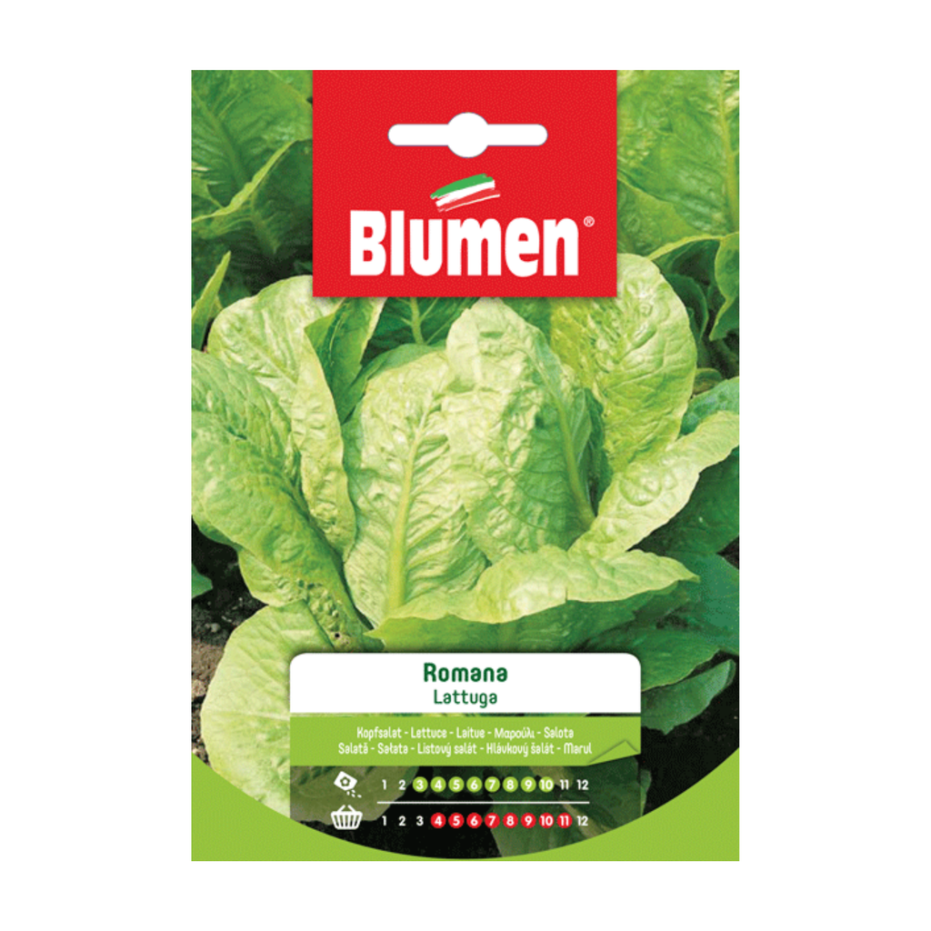 Sperli Semi Di Lattuga Dynamite - Semi Di Ortaggi Per Giardinaggio, Qualità Tradizionale, Verde