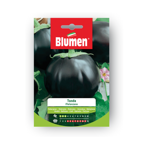 Simegarden Semi melanzana tonda