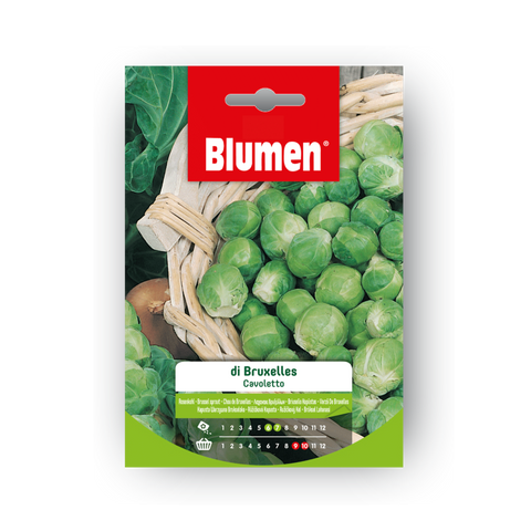 Simegarden Semi pianta di cavoletti di bruxelles