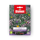 Simegarden Semi Prato giapponese nano