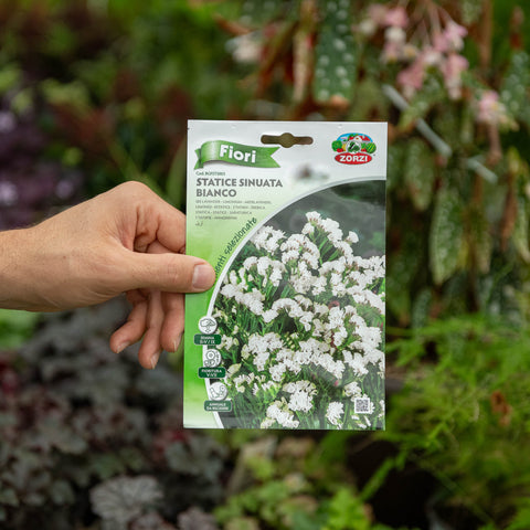 Simegarden Semi Statice bianco