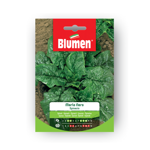 Simegarden Spinacio merlo nero semina