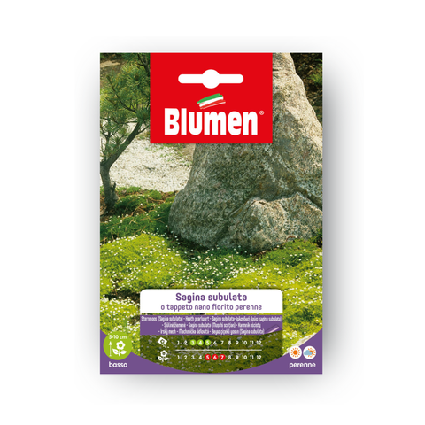 Simegarden TAPPETO N.FIOR.SAGINA